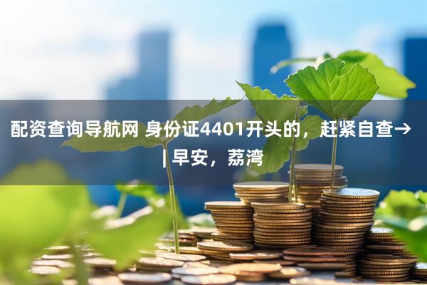 配资查询导航网 身份证4401开头的，赶紧自查→ | 早安，荔湾