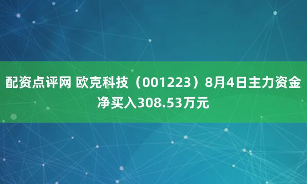 配资点评网 欧克科技（001223）8月4日主力资金净买入308.53万元