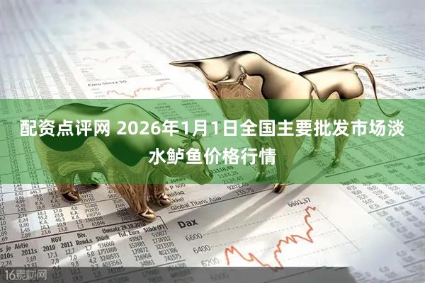 配资点评网 2026年1月1日全国主要批发市场淡水鲈鱼价格行情