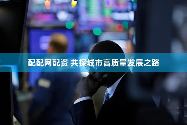 配配网配资 共探城市高质量发展之路